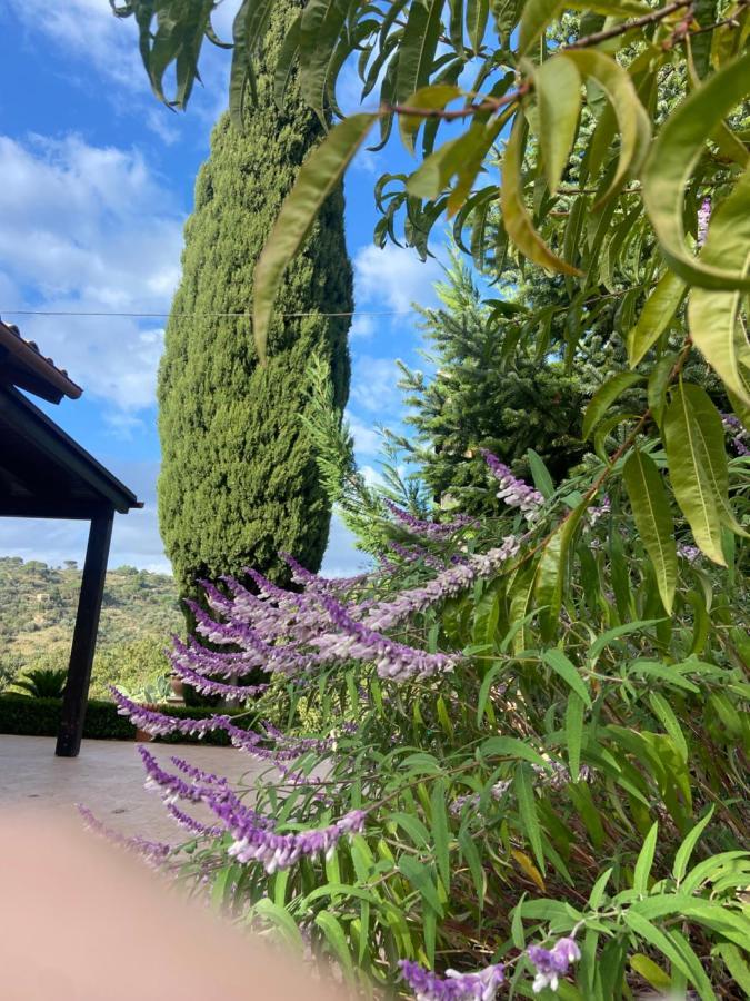 Villa Al Presti, Vacanze In Pieno Relax Cefalù Eksteriør bilde