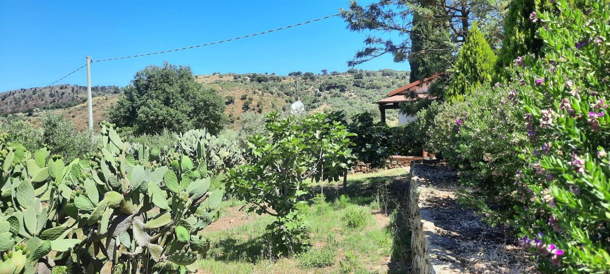 Villa Al Presti, Vacanze In Pieno Relax Cefalù Eksteriør bilde