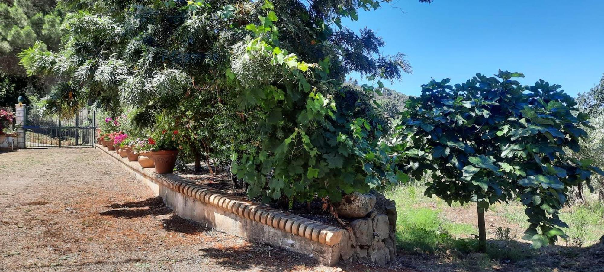 Villa Al Presti, Vacanze In Pieno Relax Cefalù Eksteriør bilde
